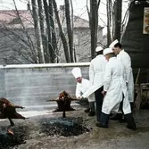 Grillning på Krämartaket, 1963