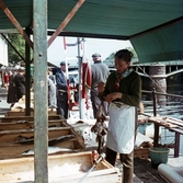 Fiskförsäljning vid Stortoget, ca 1951