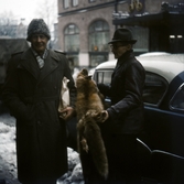 Försäljning av rävskinn utanför Stora Hotellet, 1960-1963