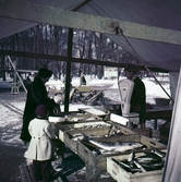 Försäljning av fisk vid Hamnplan, 1950