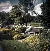 Kvinna på parkbänk i Stadsparken, 1950