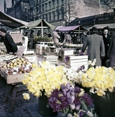Marknad på Stortorget, 1952