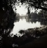 Vy mot Hagabron, oktober 1951