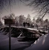 Häst med släde på Hagabron, 1950