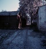 Gårdsinterör på Gamla söder, 1950-tal