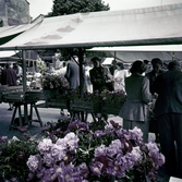 Blomsterförsäljning på Stortorget, september 1951