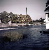 Vid Slussen, 1951