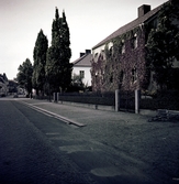 Sturegatan mot väster, 1951