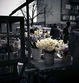 Blomsterförsäljning på Stortorget, 1952