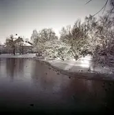 Vy från Hagabron, 1950-1953