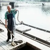 Ålfiske i Svartån, 1950-tal