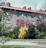 Flerfamiljshus, 1956-1964