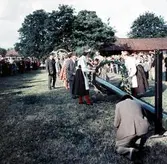 Resning av midsommarstång vid midsommarfirande i Brevens bruk, 1960-tal