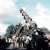 Resning av midsommarstång vid midsommarfirande i Brevens bruk, 1960-tal