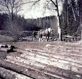 Man med häst hämtar stockar i Garphyttan, 1951