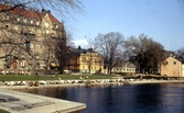 Parkbänkar i Centralparken, 1972 efter