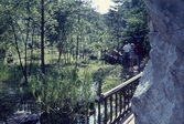 Gångbro i kinaparken. 1960-tal