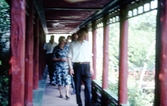 Besökare i kinaparken. 1960-tal
