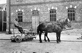 Man på hästdragen vägskrapa, 1910-tal