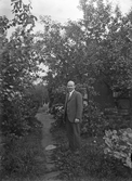 Man i trädgård, 1920-tal