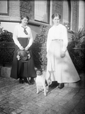 Kvinnor med hund, 1920-tal