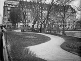 Samling i Centralparken, 1920-tal