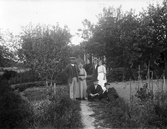 Gruppfoto i trädgård, 1920-tal
