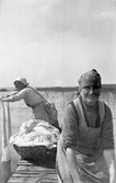 Tvätt på brygga, 1920-tal