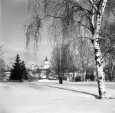 Vinterbild.. Bilden tagen från Mellanholmen mot NO. 