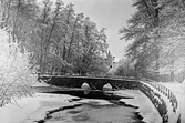 Trädgårdsbron i Slottsparken, 1888