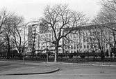 Skofabrik Pehrson & Companie, 1960-tal