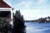 Sjön Loken, 1981