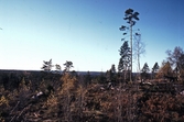 Trollkarlsklint i Kilsbergen, 1981