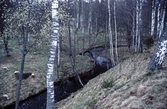 Lekebergs-Sälvens naturreservat, 1988