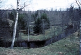 Natur i Lekeberga-Sälvens naturreservat, 1988