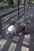 Lilla zoo på Stora Holmen,  1988