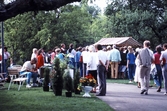 Rosornas dag i stadsparken, 1987