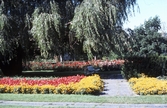 Blomstergatan, 1980-tal