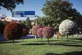 Blomsterarrangemang vid Södra station, 1998