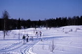 Skidåkare vid Tomasboda, 1987