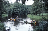 Kanotister vid Strömsborg, 1985