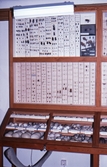 Insekter och ägg på Biologiska museet, 1982