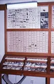 Insekter och ägg på Biologiska museet, 1982