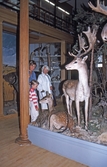 Biologiska museet, 1988
