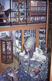 Biologiska museet,1982
