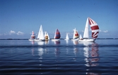 Segelbåtar under tävlingen Vinö sail race, 1988