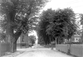 Alnängsgatan mot norr från Olaigatan, 1907