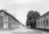 Drottninggatan mot norr från Södra allén, 1903