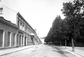 Engelbrektsgatan mot väster från Slottsparken, 1903
