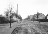 Järnvägsgatan mot väster från Skolgatan, 1903